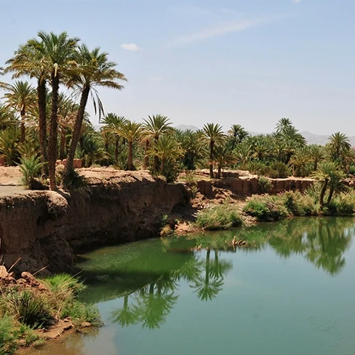 Safari-Marrakech-3-Day-Adventure-to-Merzouga-Desert-from-Marrakech-03-ql70ay64p10qttr2aj92f9hm2elnstbq779bqtc4ug