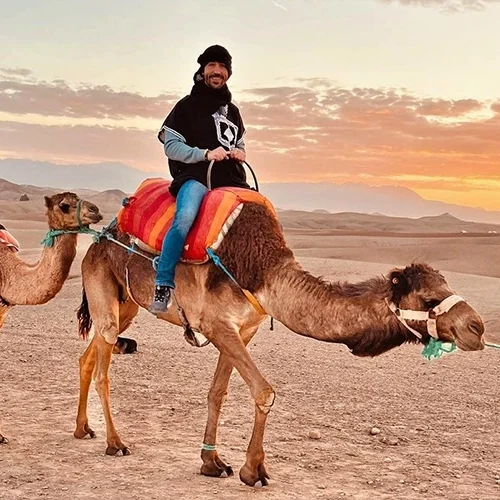 Camel Trekking Experience in Marrakech