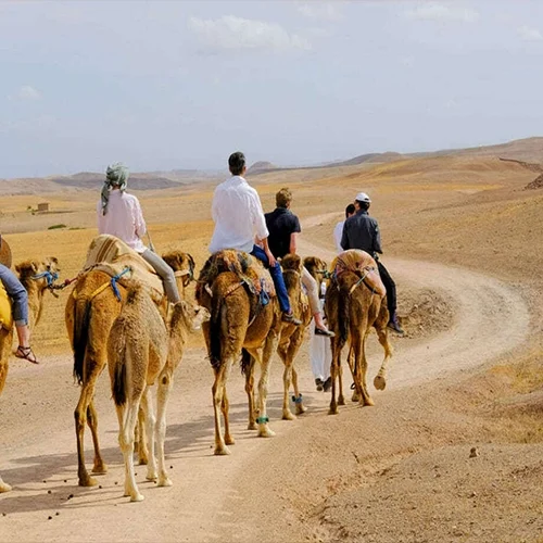 Camel Trekking Experience in Marrakech