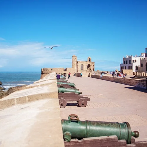 Essaouira Day Excursion from Marrakech