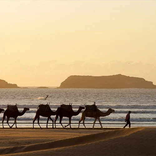 Essaouira Day Excursion from Marrakech